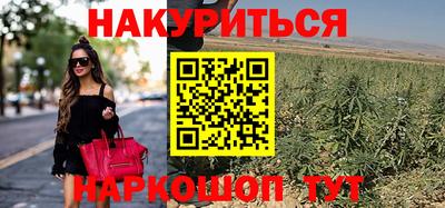 ПСИЛОЦИБИНОВЫЕ ГРИБЫ Краснодар