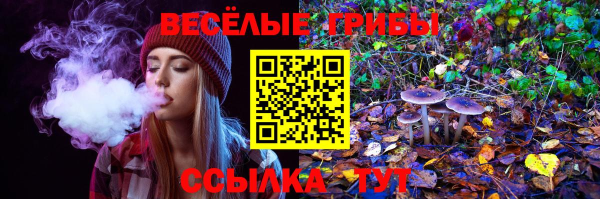 Ковров  Псилоцибиновые грибы Psilocybe  Вход с VPN 