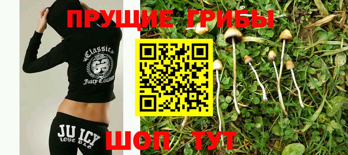 Галлюциногенные грибы Magic Shrooms Ковров