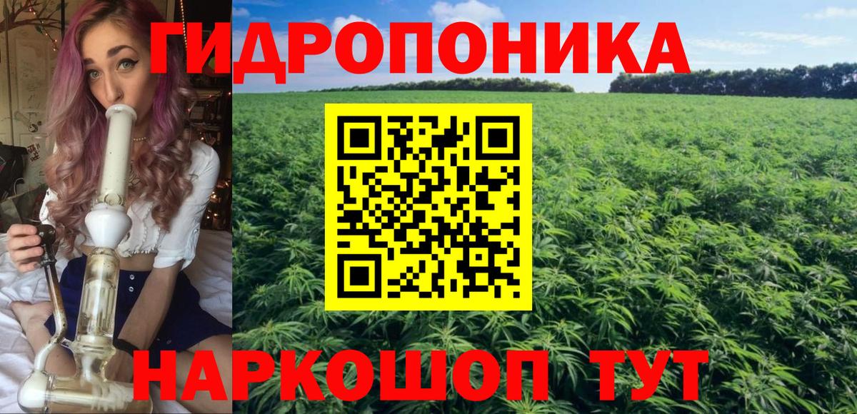 Конопля LSD WEED Ковров